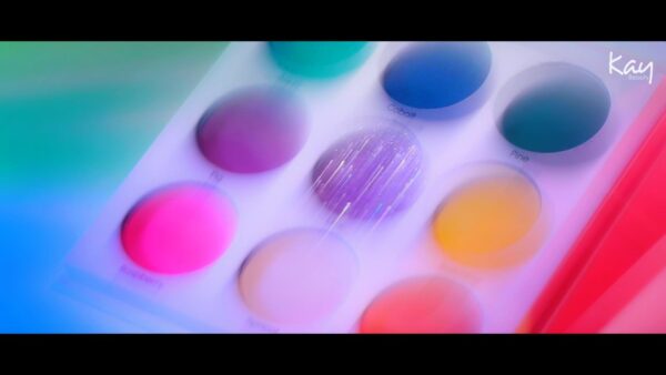 Kay Beauty Eyeshadow Palette - Pure Bloom(10g) - Image 12
