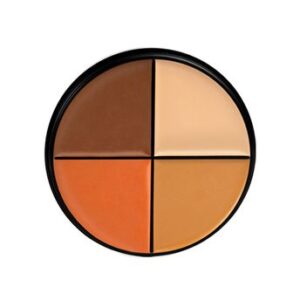 Daily Life Forever52 4 Color Concealer - AC003(12gm)